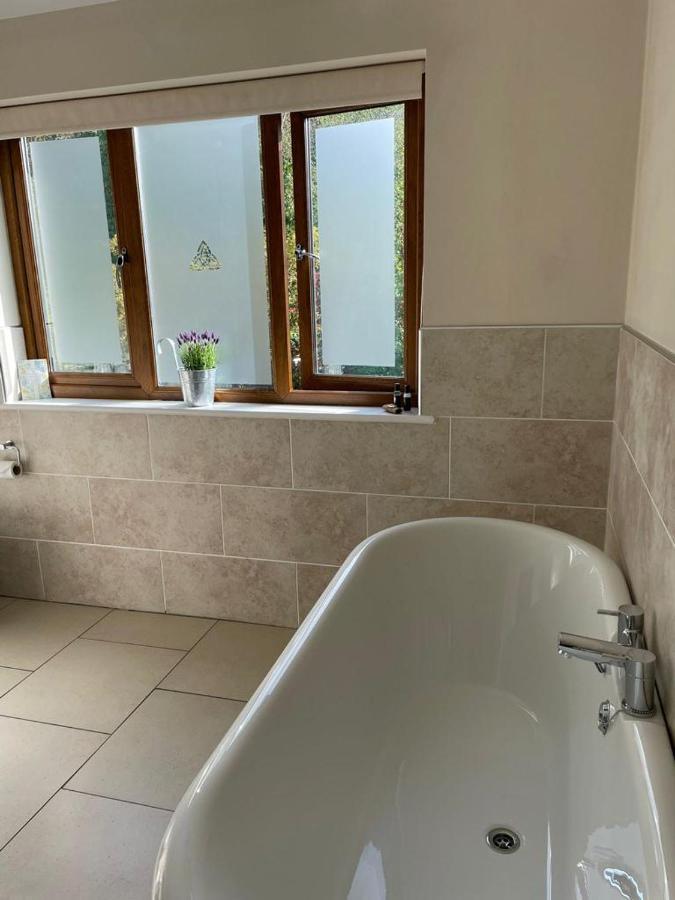 Bed and Breakfast Roseberry House Newcastle Emlyn Exterior foto